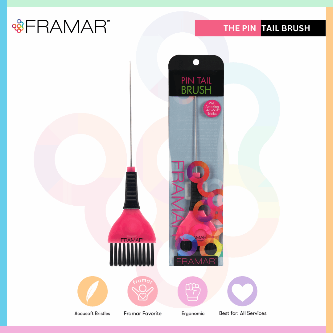 Pin Tail Hair Coloring Brush | Framar Pin Tail Hair Color Brush